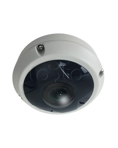 IP-камера видеонаблюдения купольная EverFocus ACE-KU89F в Волгодонске IP-камеры Pintop.ru